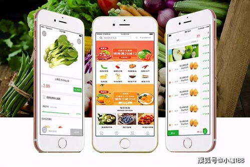 社区团购小程序开发需要多少钱 app开发费用是多少